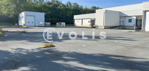 2e photo de l'annonce