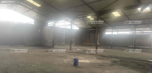 5e photo de l'annonce