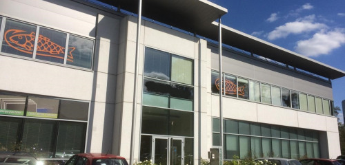 2e photo de l'annonce