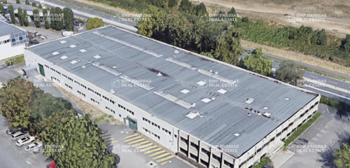 1re photo de l'annonce