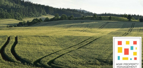 1re photo de l'annonce