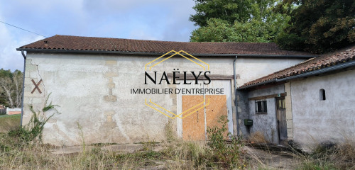 2e photo de l'annonce