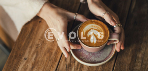 1re photo de l'annonce