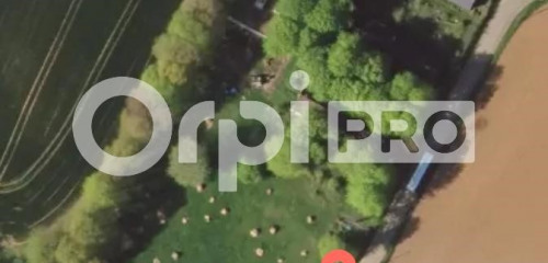 5e photo de l'annonce