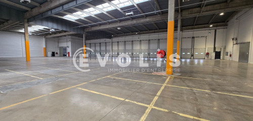 5e photo de l'annonce