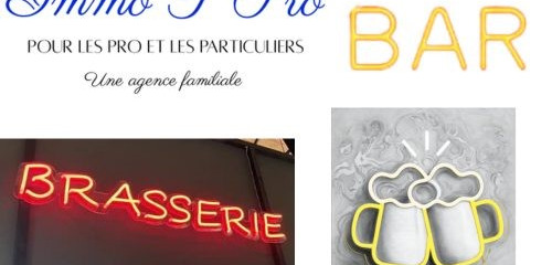 1re photo de l'annonce