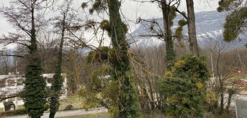 2e photo de l'annonce