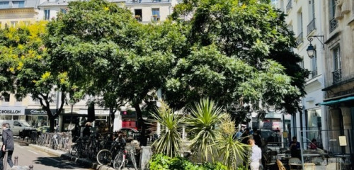 2e photo de l'annonce