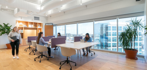 1re photo de l'annonce