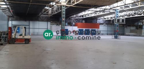 1re photo de l'annonce