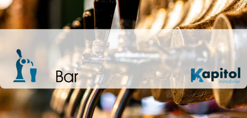 4e photo de l'annonce