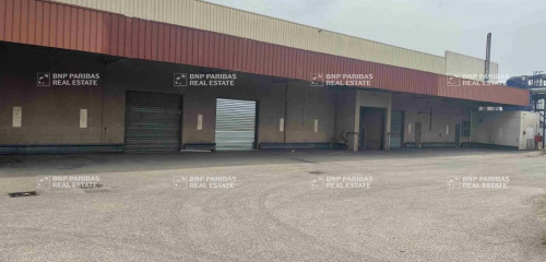 1re photo de l'annonce