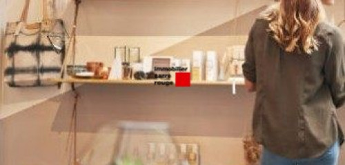 1re photo de l'annonce