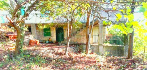 1re photo de l'annonce