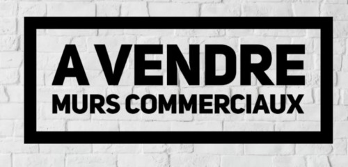 1re photo de l'annonce