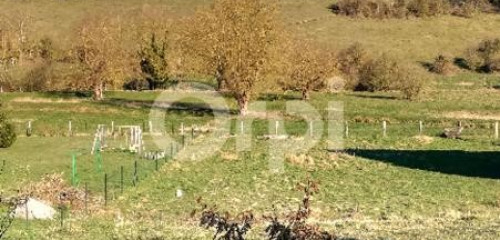 2e photo de l'annonce