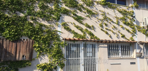 1re photo de l'annonce