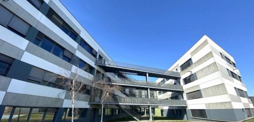 1re photo de l'annonce