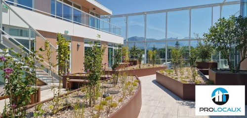 3e photo de l'annonce