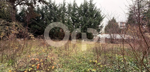 2e photo de l'annonce