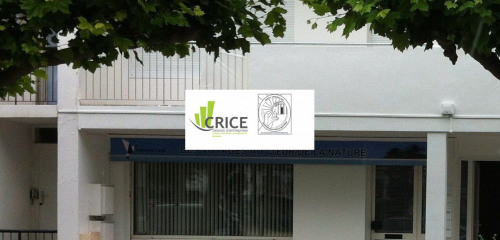 1re photo de l'annonce