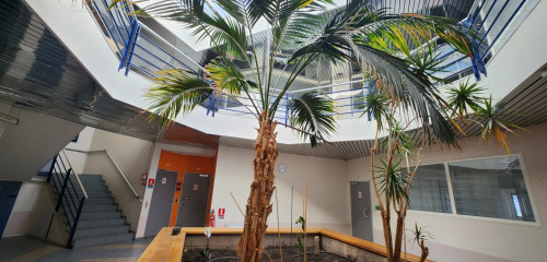 5e photo de l'annonce