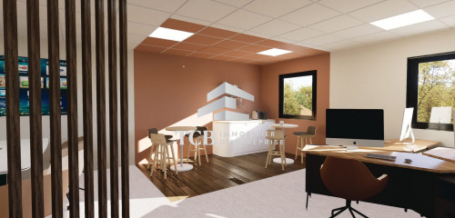 1re photo de l'annonce