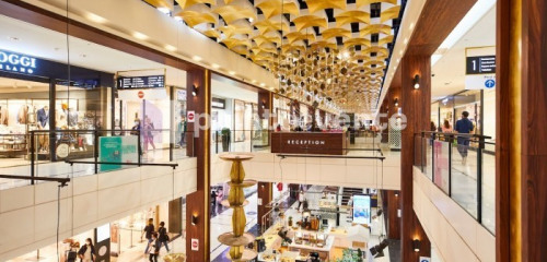 1re photo de l'annonce