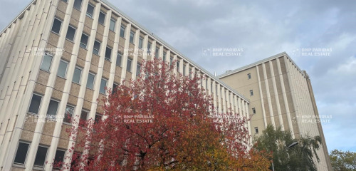 1re photo de l'annonce