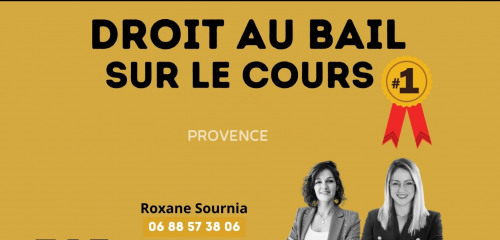 1re photo de l'annonce