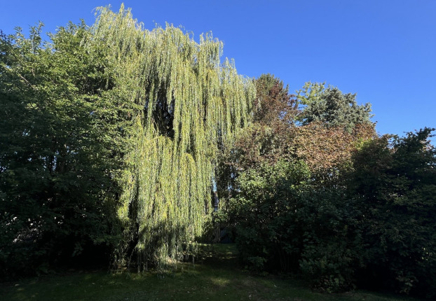 Maison 7 pièces 195 m² · à Leers · 195 m² · 499 000 €