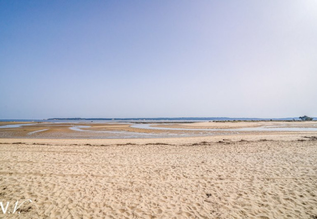 Maison 5 pièces 140 m² · à Centre Cap Ferret, Lège-Cap-Ferret · 140 m² · 5 500 000 €
