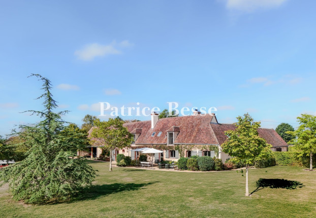 Maison 10 pièces 261 m² · à Châteauneuf-en-Thymerais · 261 m² · 900 000 €