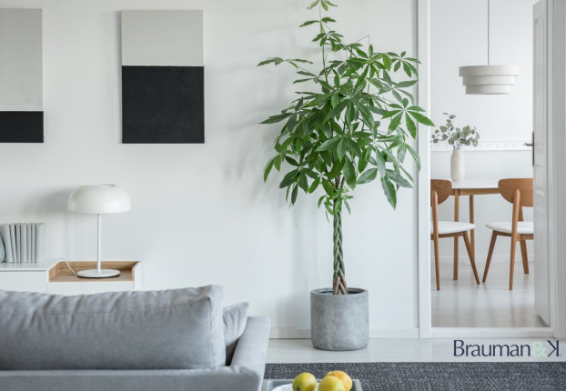 Maison 4 pièces 83 m² · à Collioure · 83 m² · 695 000 €