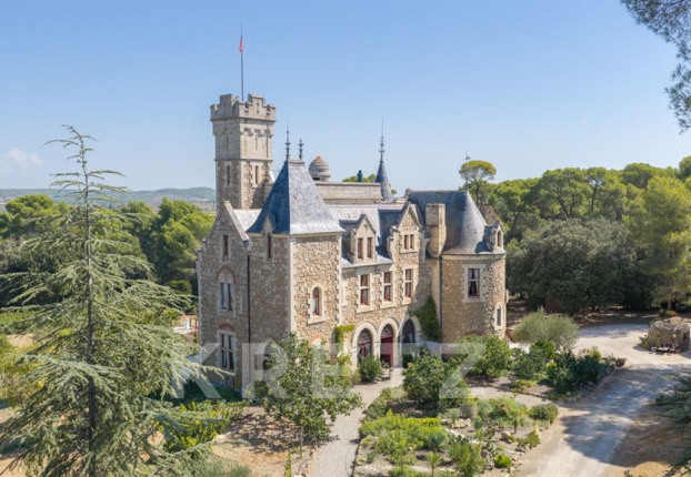 Maison 15 pièces 573 m² · à Quarante · 573 m² · 2 450 000 €