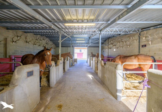 Maison 9 pièces 336 m² · à Andilly · 336 m² · 1 250 000 €
