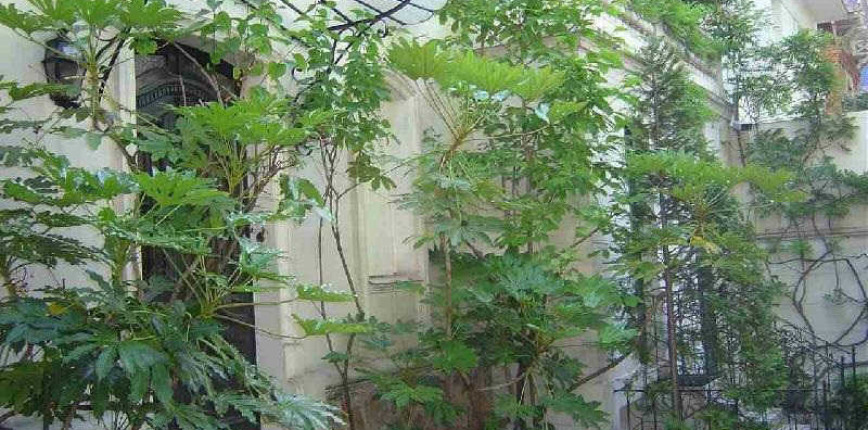 Maison 8 pièces 230 m² · à Asnières-sur-Seine · 230 m² · 2 360 000 €