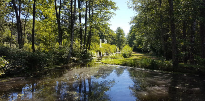 Maison 30 pièces 835 m² · à Argent-sur-Sauldre · 835 m² · 2 014 000 €