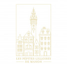 Real estate agency Les Pépites Lilloises in Lille