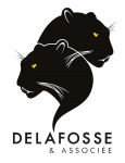DELAFOSSE ET ASSOCIEE DELAFOSSE ET ASSOCIEE