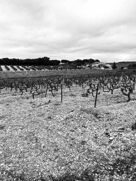Ferme au milieu des vignes et oliviers dans la "Drôme Provençale"