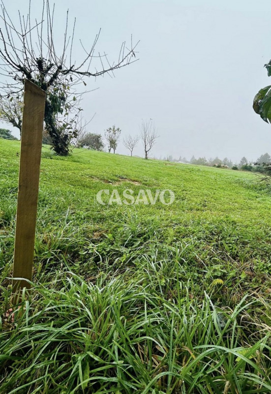Vente Terrain Vienne