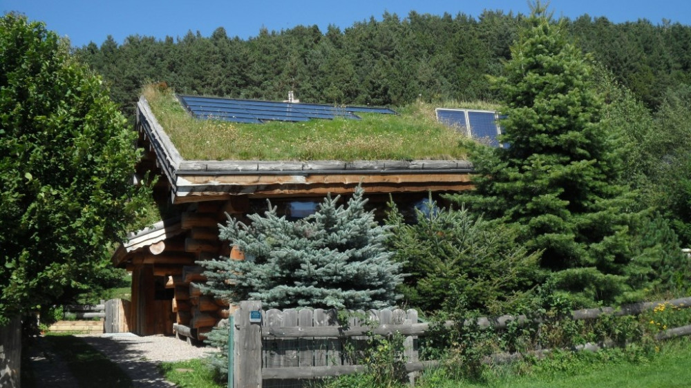 L'été dans son écrin de verdure