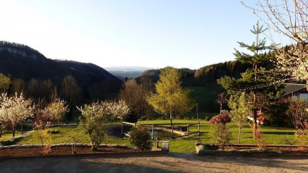 Vue de la terrasse