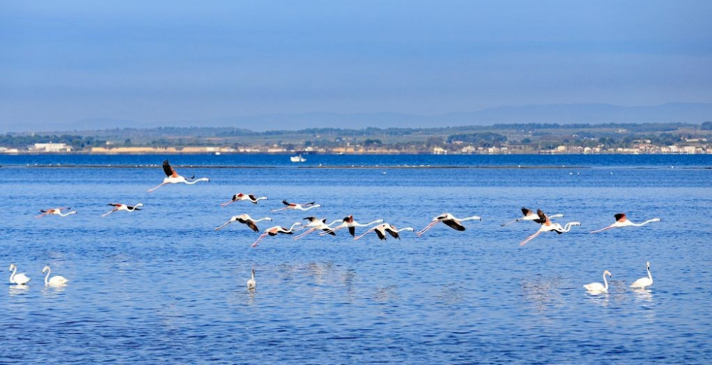 Appartement De Vacances à Le Grau Du Roi En Languedoc