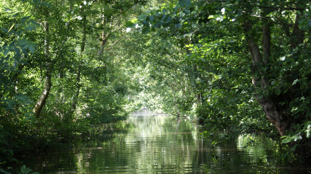 Venise Verte
