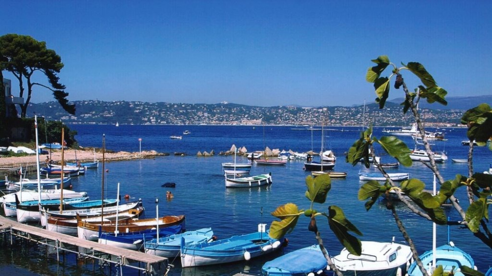 LLe joli port du L'Olivette au Cap d'Antibes