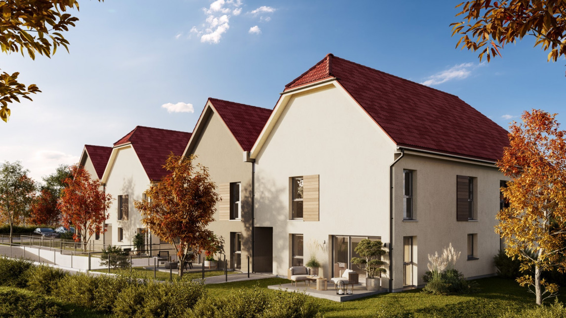 Program neuf LES CARRES TILIA - Berstett