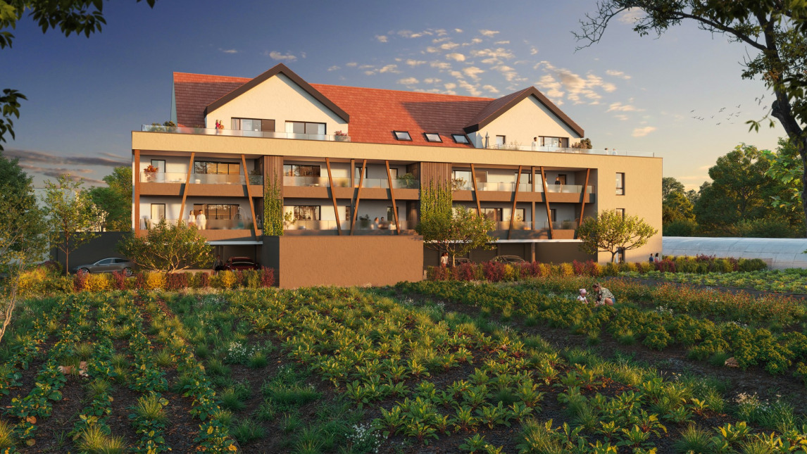 Program neuf RESIDENCE "LES GLAIEULS" - Colmar