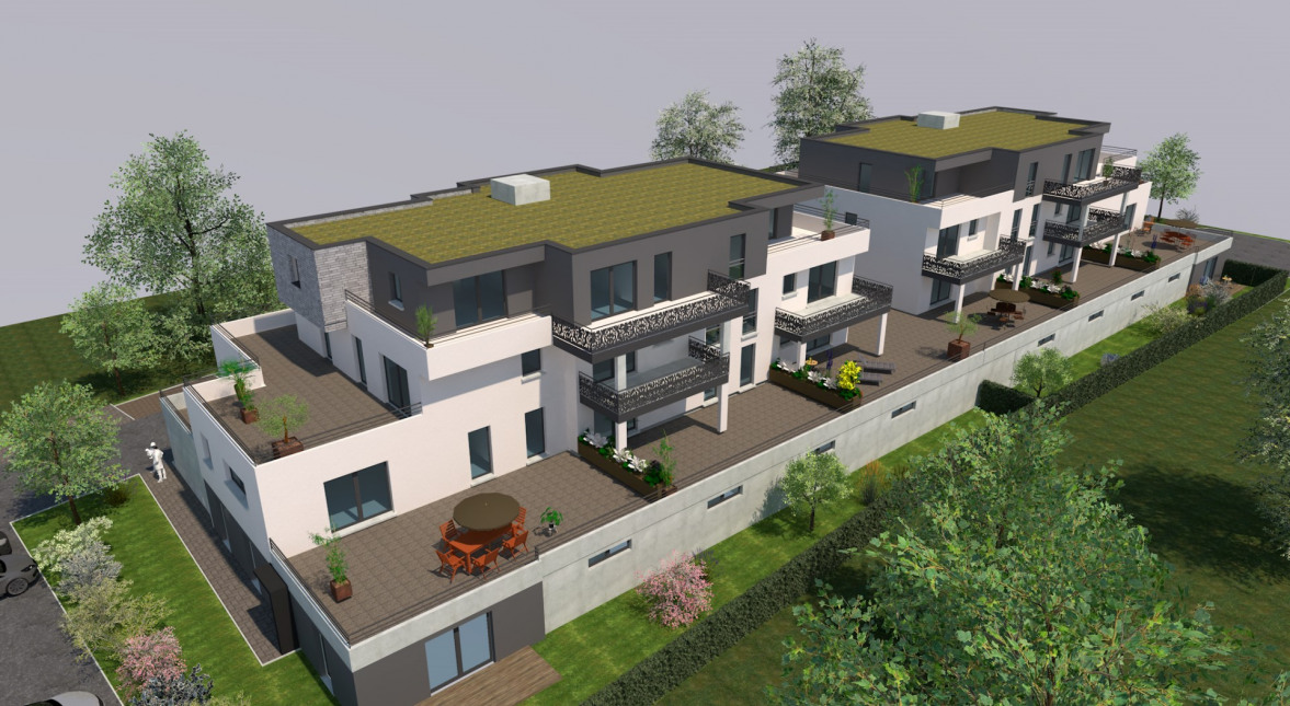 Program neuf LE 24 - Bischwiller